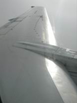 silver wing.jpg